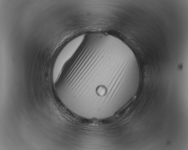 X0000116060308200912111534