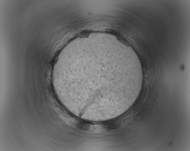 X0000116060309200912111534