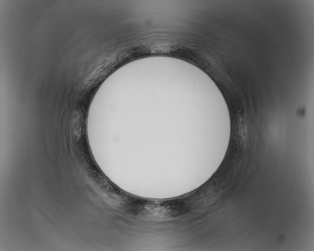 X0000116060311200912111534
