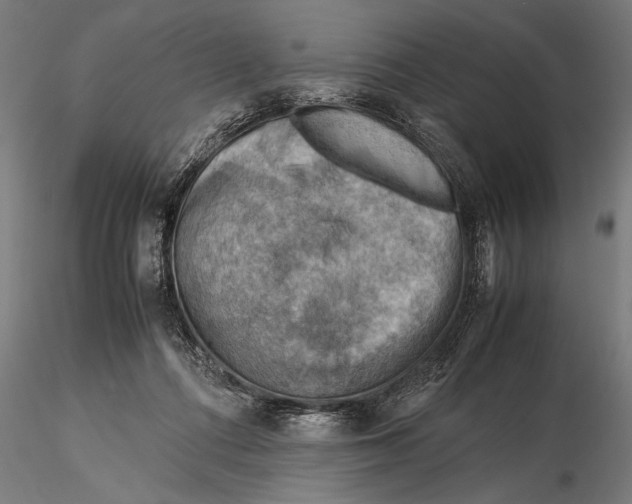 X0000116060312200912111534