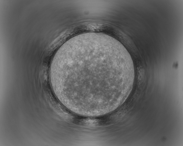 X0000116060313200912111534