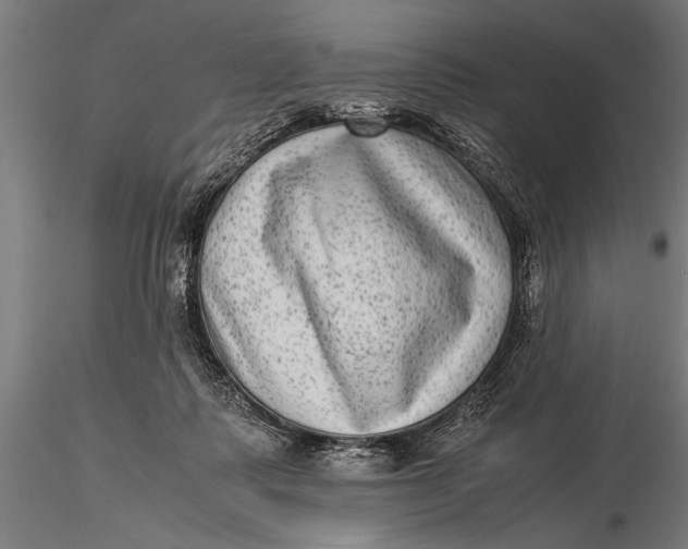 X0000116060315200912111534