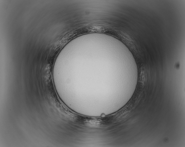 X0000116060318200912111534