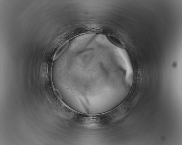 X0000116060320200912111534