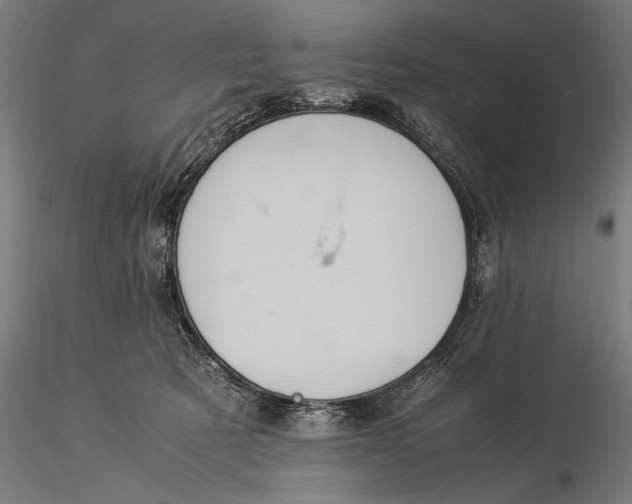 X0000116060321200912111534