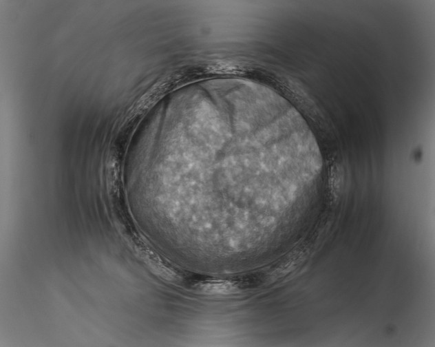 X0000116060322200912111534