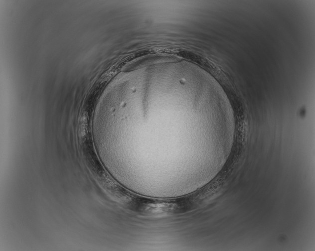 X0000116060323200912111534