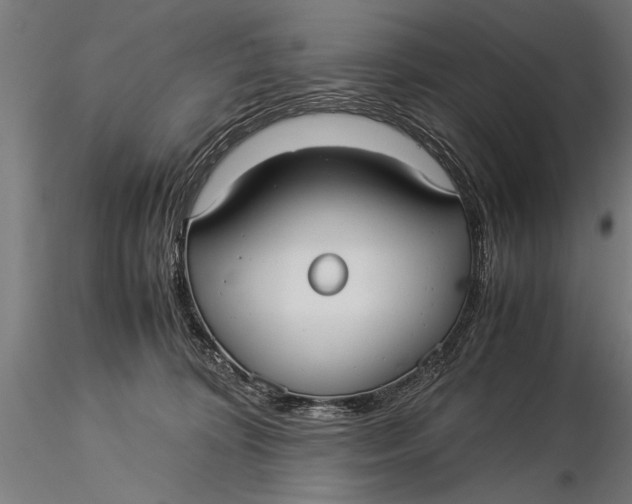 X0000116060324200912111534