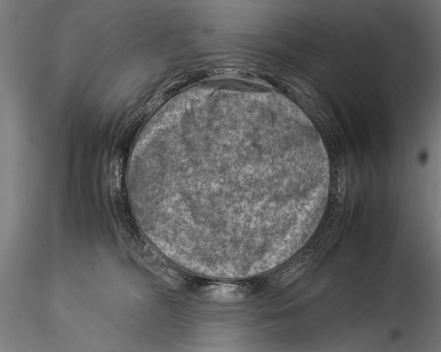 X0000116060326200912111534