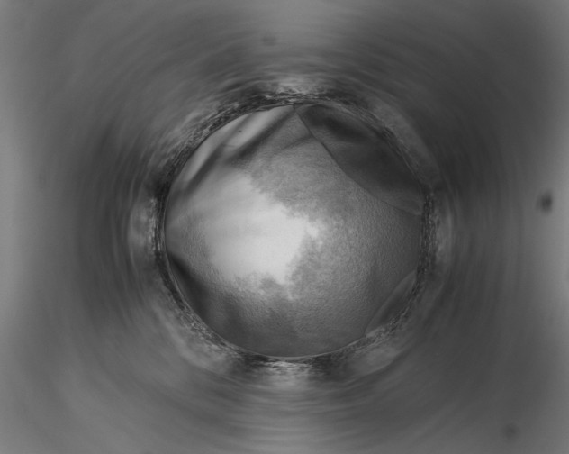 X0000116060328200912111534