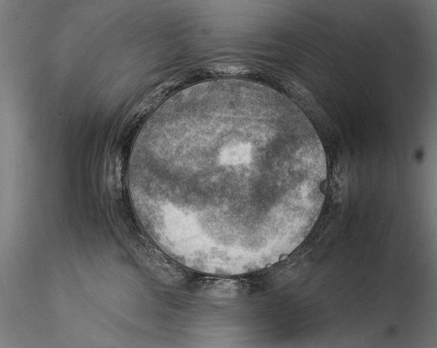 X0000116060330200912111534