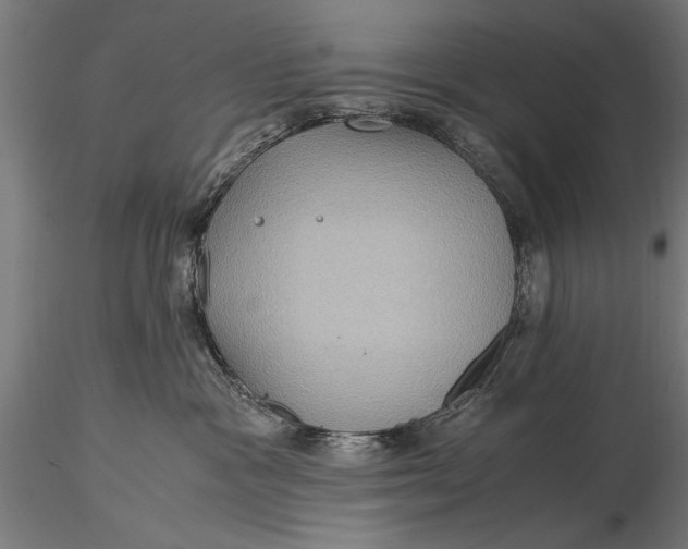 X0000116060333200912111534