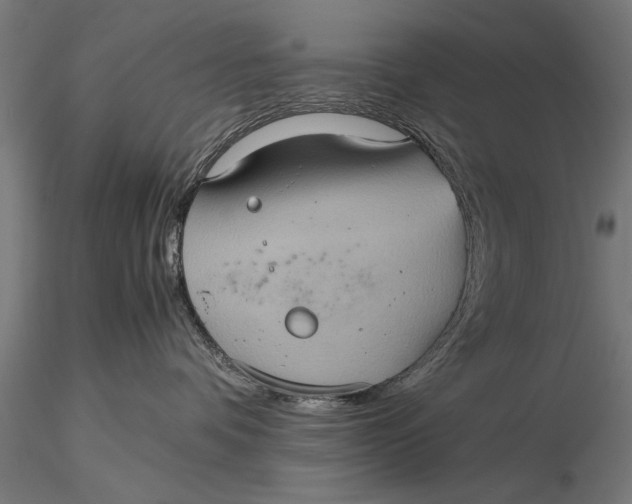 X0000116060336200912111534