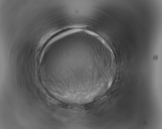 X0000116060337200912111533