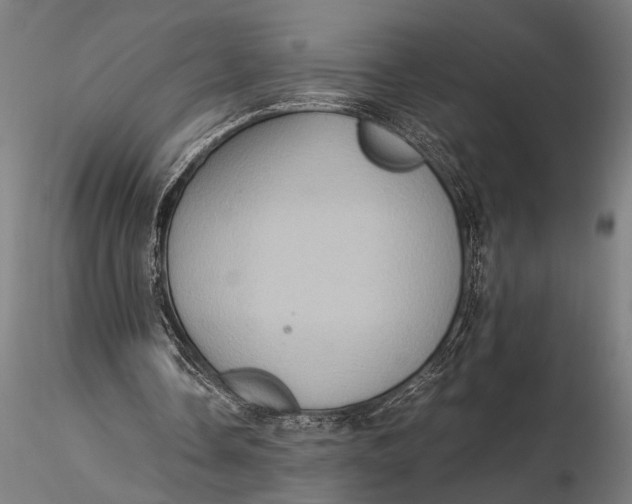 X0000116060338200912111533