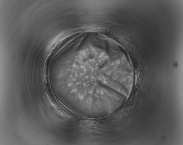 X0000116060339200912111533