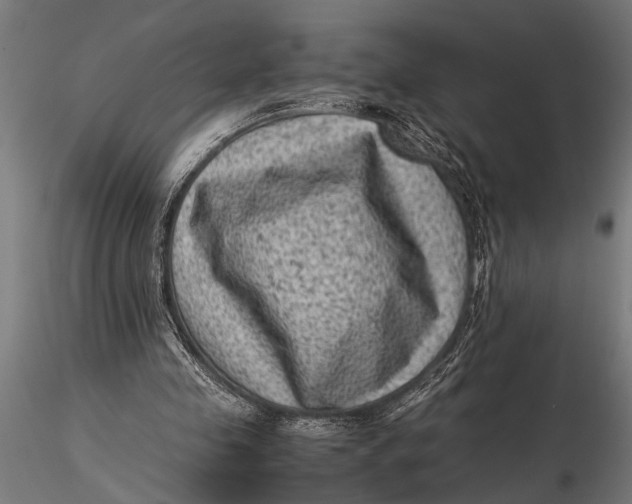 X0000116060341200912111533