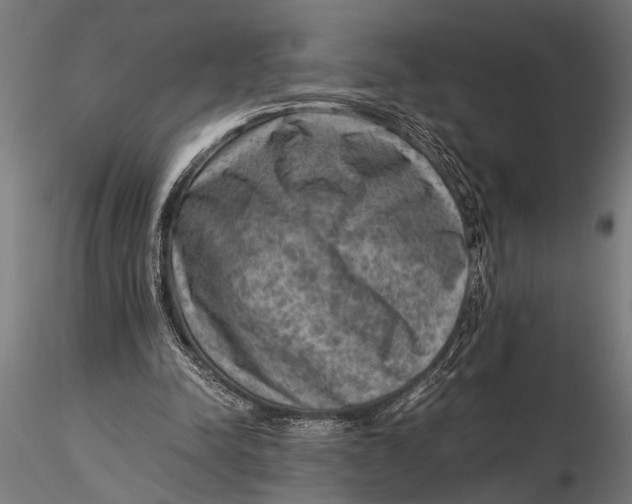 X0000116060342200912111533