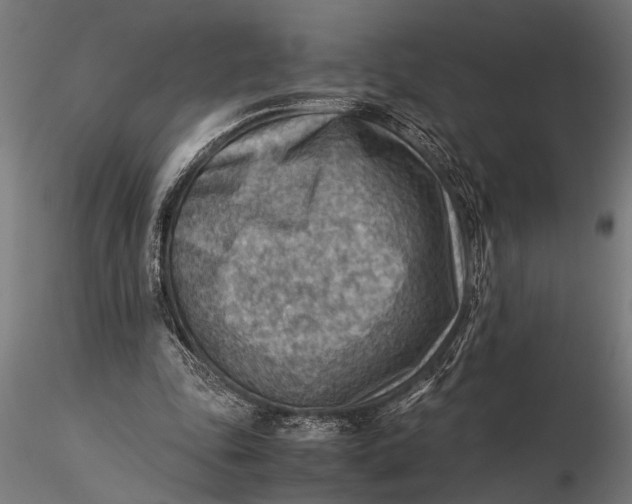 X0000116060343200912111533