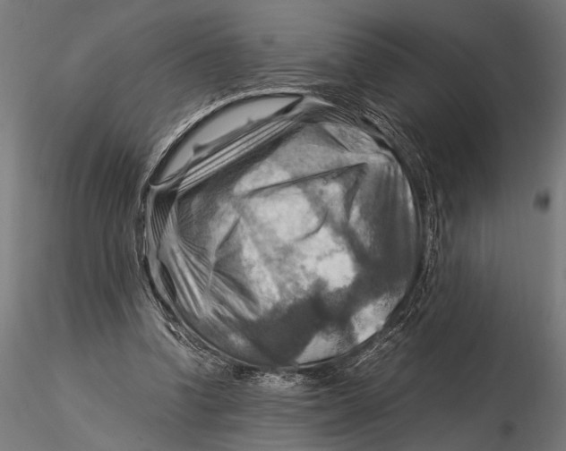 X0000116060346200912111533