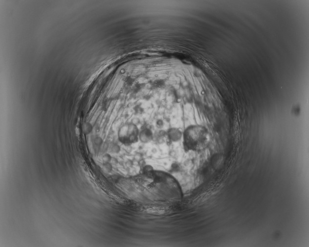 X0000116060347200912111533