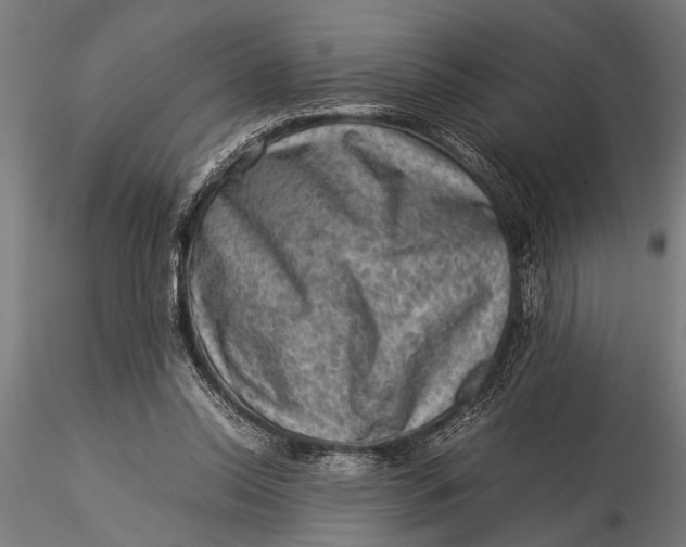 X0000116060350200912111533