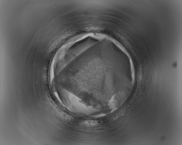 X0000116060353200912111533