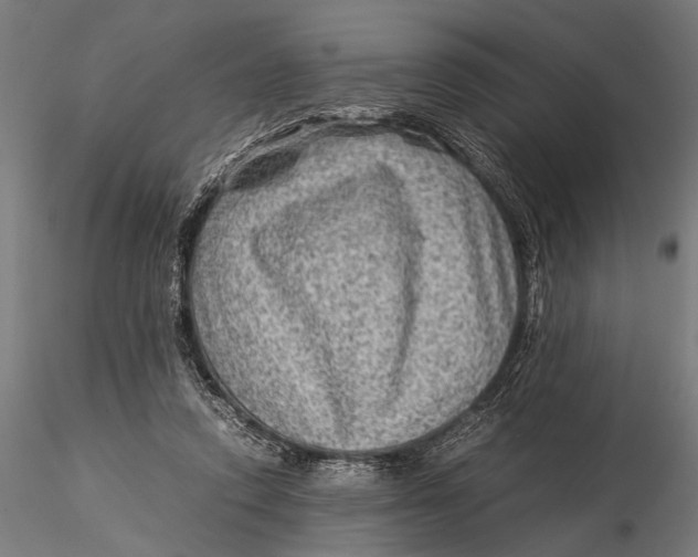 X0000116060354200912111533