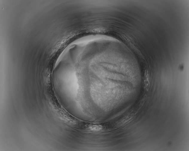 X0000116060355200912111533