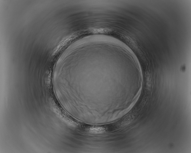 X0000116060357200912111534