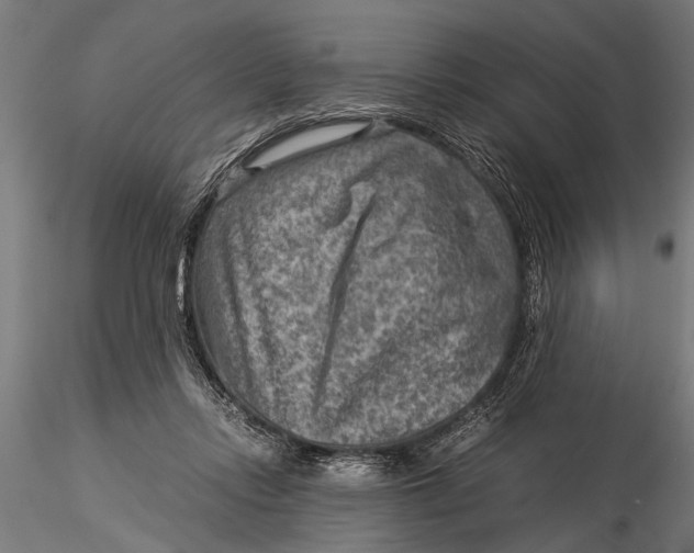 X0000116060358200912111534