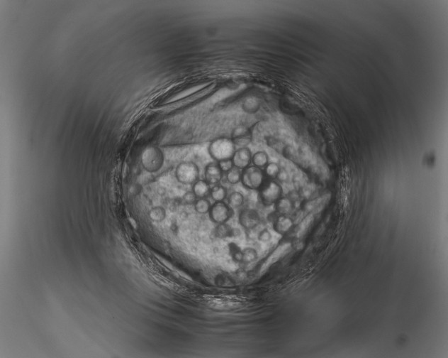 X0000116060359200912111534