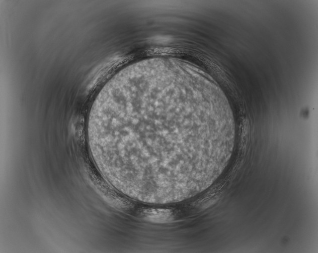 X0000116060361200912111534