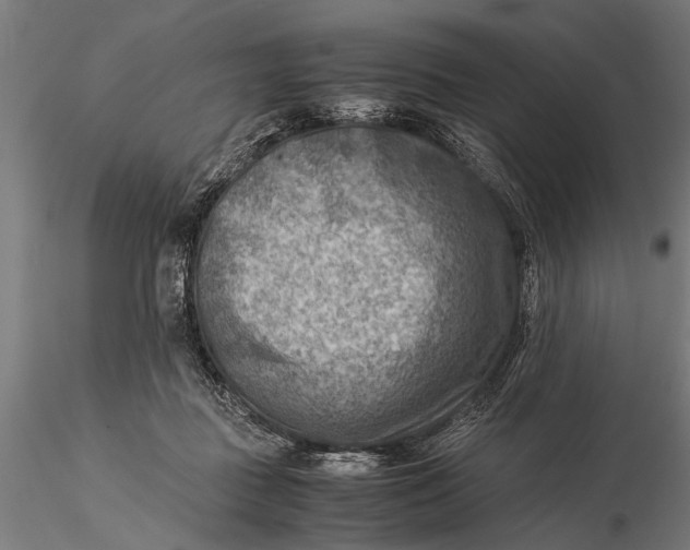 X0000116060363200912111534