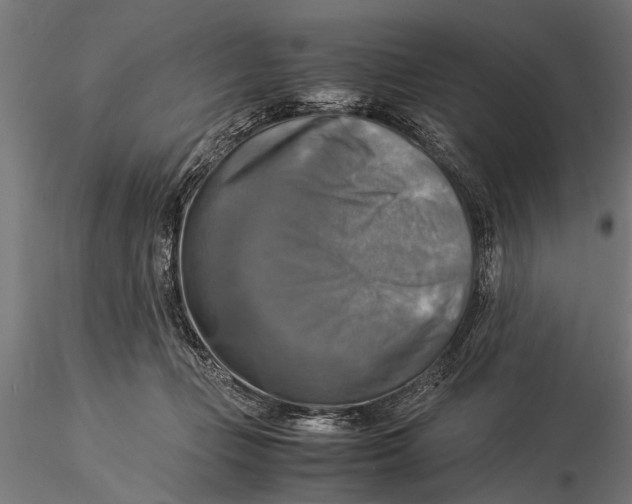 X0000116060365200912111534