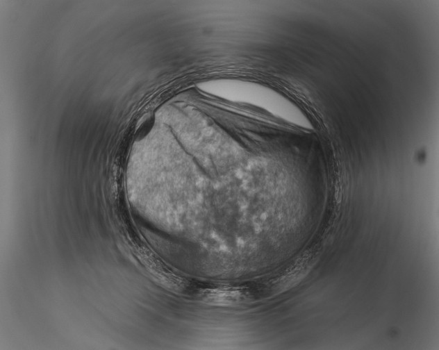 X0000116060366200912111534