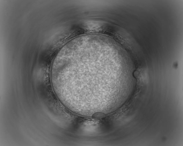 X0000116060369200912111534