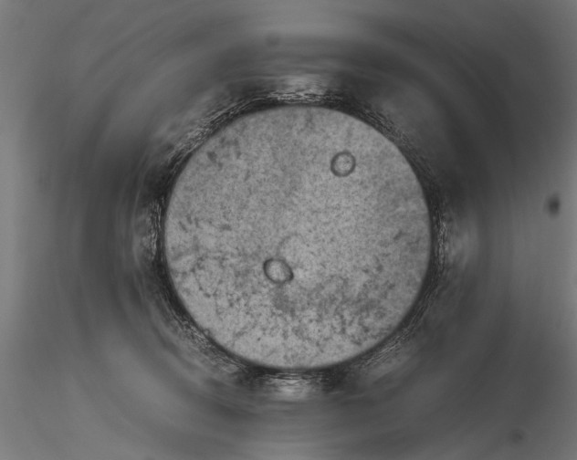 X0000116060370200912111534