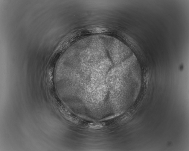 X0000116060373200912111534