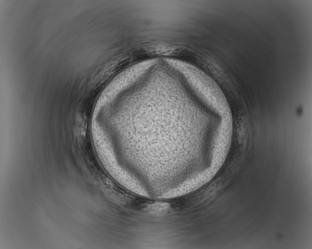 X0000116060374200912111534