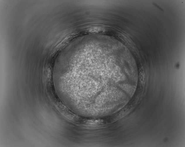 X0000116060375200912111534