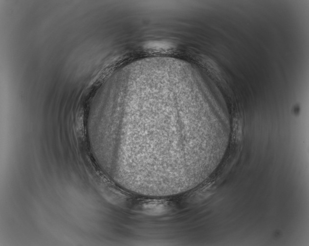 X0000116060377200912111534