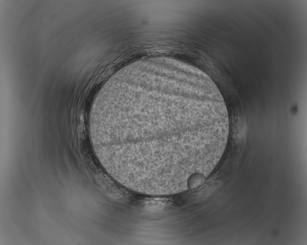 X0000116060378200912111534