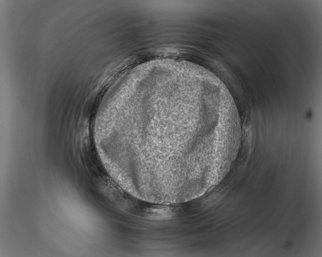 X0000116060381200912111534