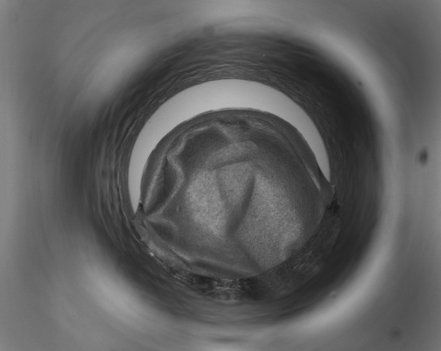 X0000116060382200912111534