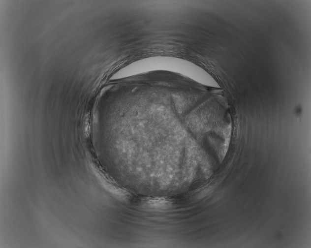 X0000116060383200912111534