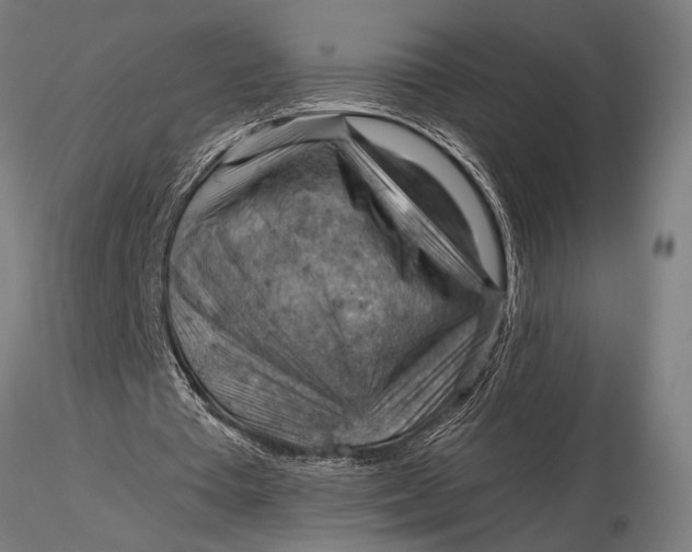 X0000116060385200912111533