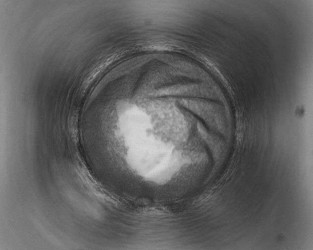 X0000116060386200912111533