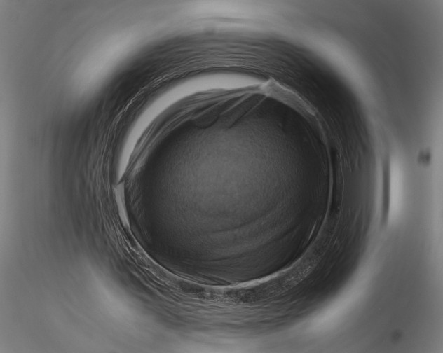 X0000116060387200912111533