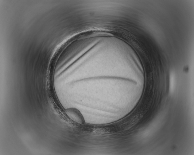 X0000116060388200912111533